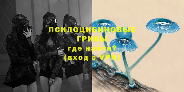 a pvp Володарск