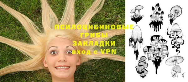 твердый Волоколамск