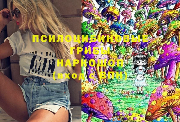 spice Вяземский