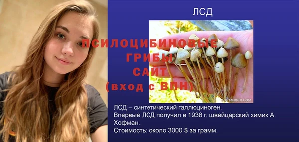 твердый Волоколамск