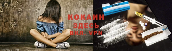 spice Вяземский