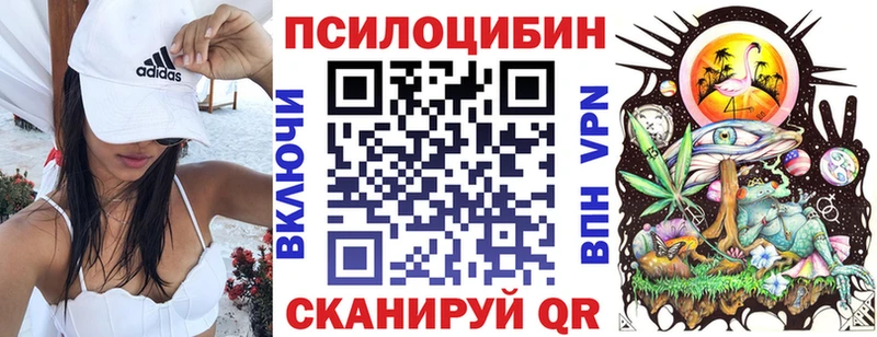 Псилоцибиновые грибы Cubensis где можно купить Мытищи